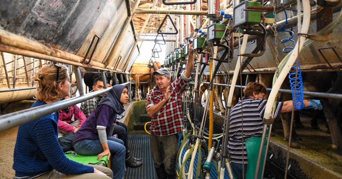 Dairy extension work extends benefits to more farmers ACIAR